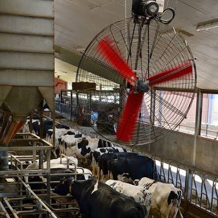 Ventilación para instalaciones ganaderas