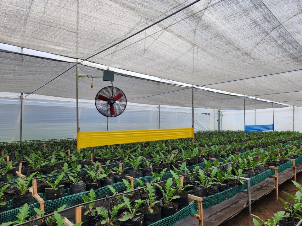 Ventilador de cesta línea Atem sobre semillero
